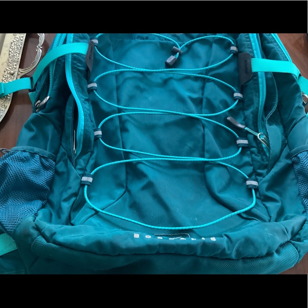 Borealis The North Face backpack.  Stain on interior as shown.